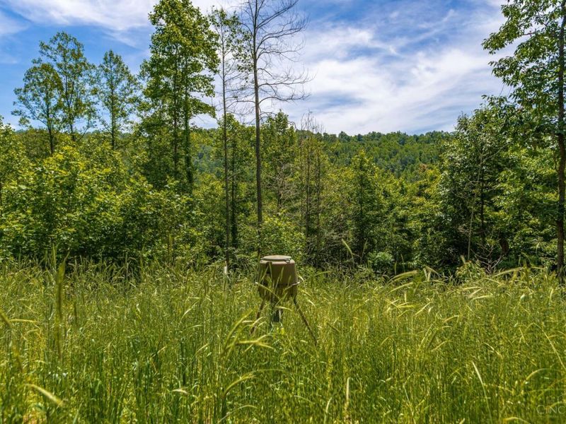 745 Coon Hollow Road, Blue Creek, OH 45616 Photo 10
