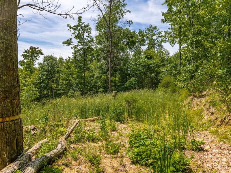 745 Coon Hollow Road, Blue Creek, OH 45616 Photo 11