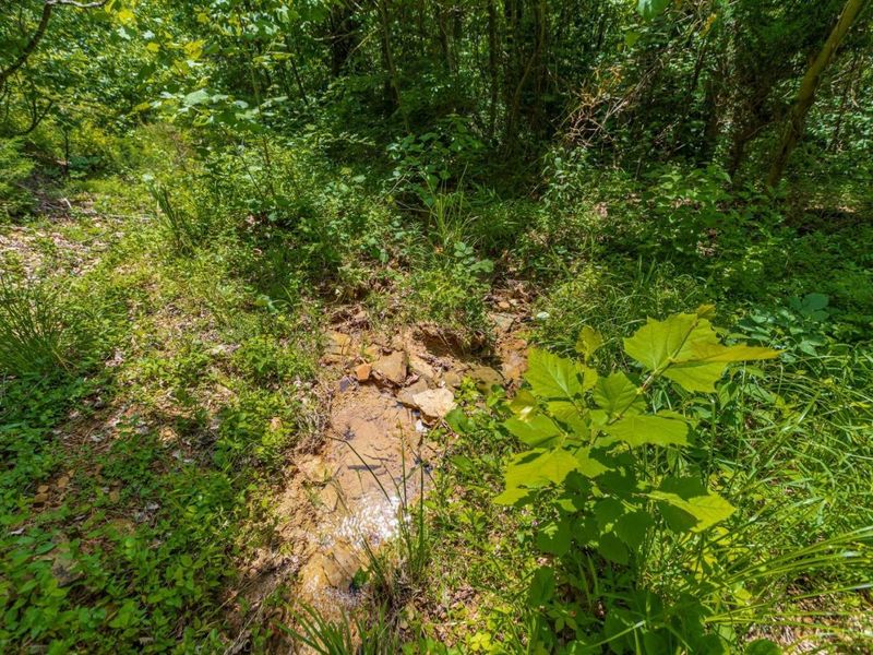 745 Coon Hollow Road, Blue Creek, OH 45616 Photo 22