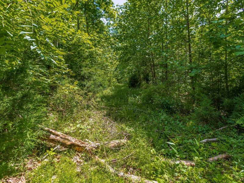745 Coon Hollow Road, Blue Creek, OH 45616 Photo 23