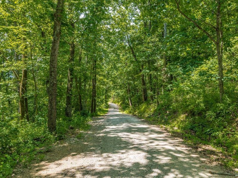 745 Coon Hollow Road, Blue Creek, OH 45616 Photo 6