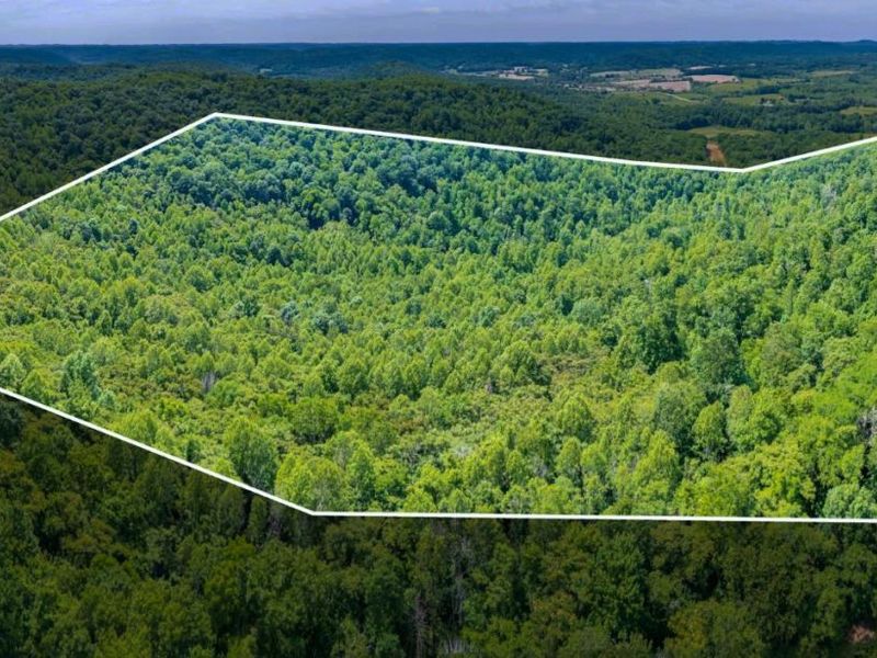 745 Coon Hollow Road, Blue Creek, OH 45616 Photo 7