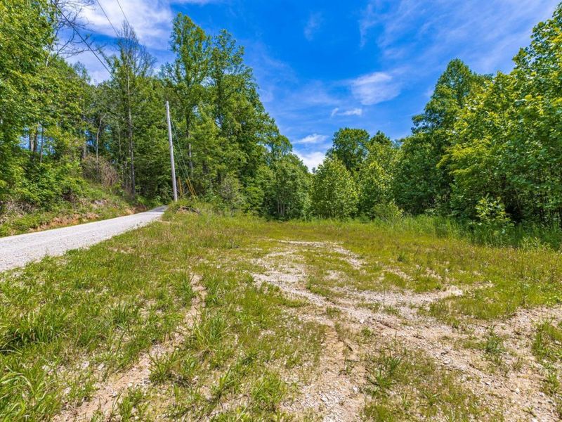 745 Coon Hollow Road, Blue Creek, OH 45616 Photo 8