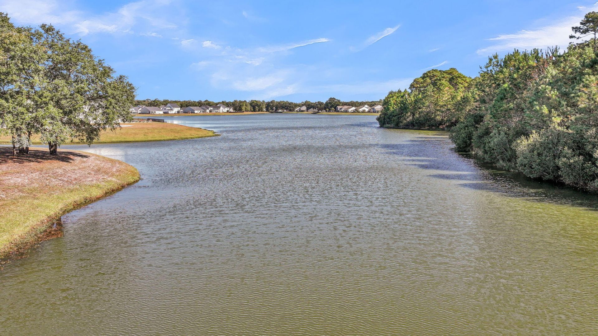 3524 Great Egret Drive Photo 56