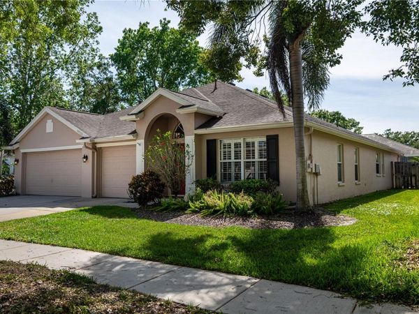 10333 ABBOTSFORD DRIVE , TAMPA, FL 33626
