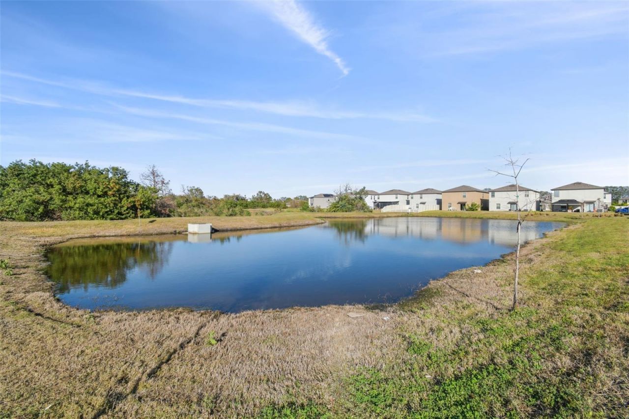 5452 Rainwood Meadows Drive, Apollo Beach, FL 33572 Photo