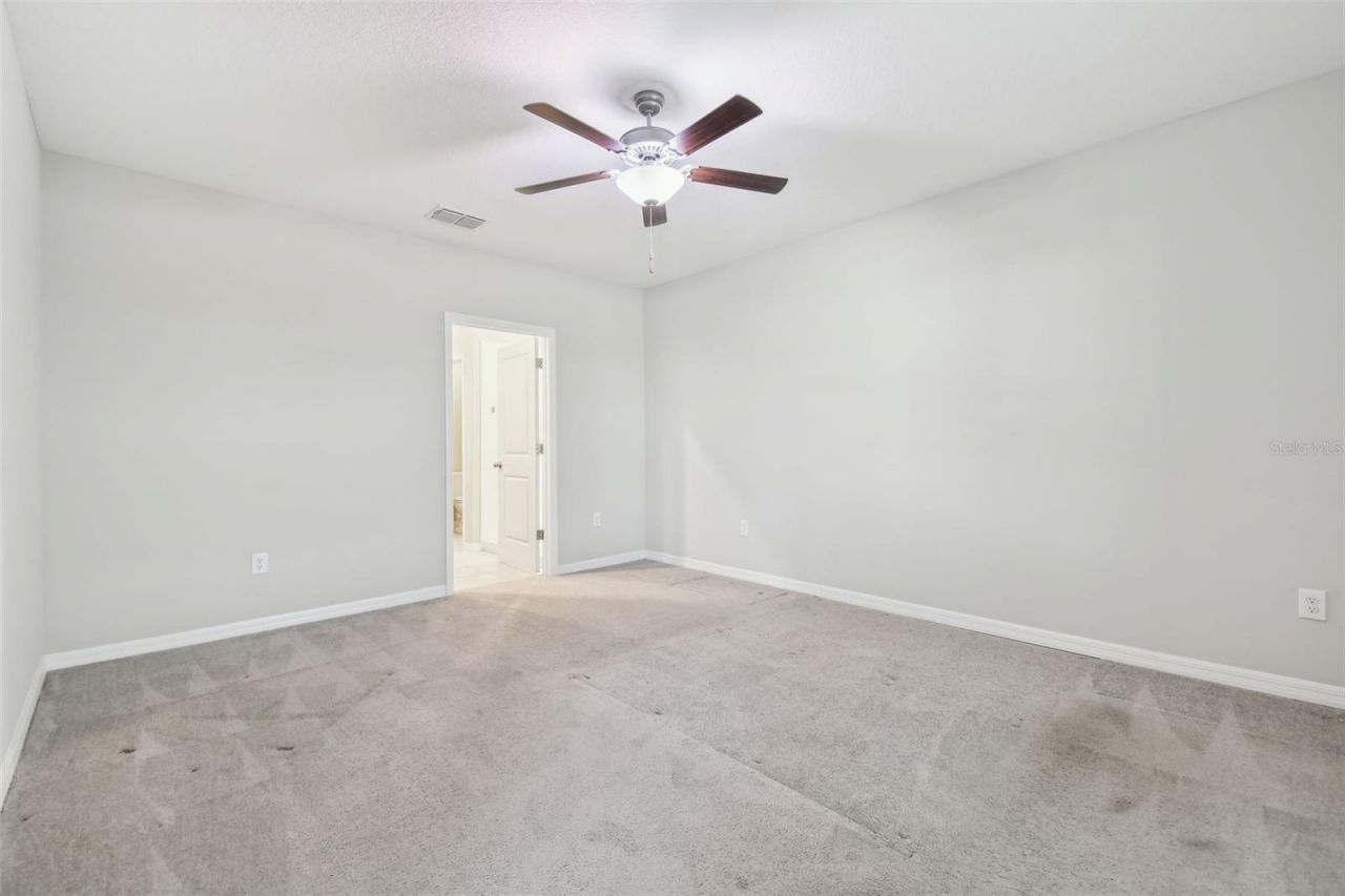 5452 Rainwood Meadows Drive, Apollo Beach, FL 33572 Photo