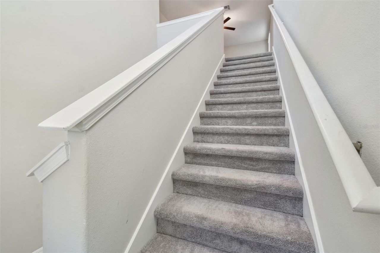 5452 Rainwood Meadows Drive, Apollo Beach, FL 33572 Photo