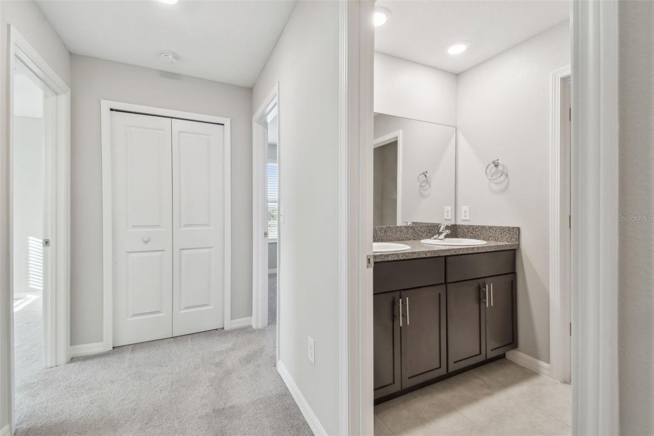 5452 Rainwood Meadows Drive, Apollo Beach, FL 33572 Photo