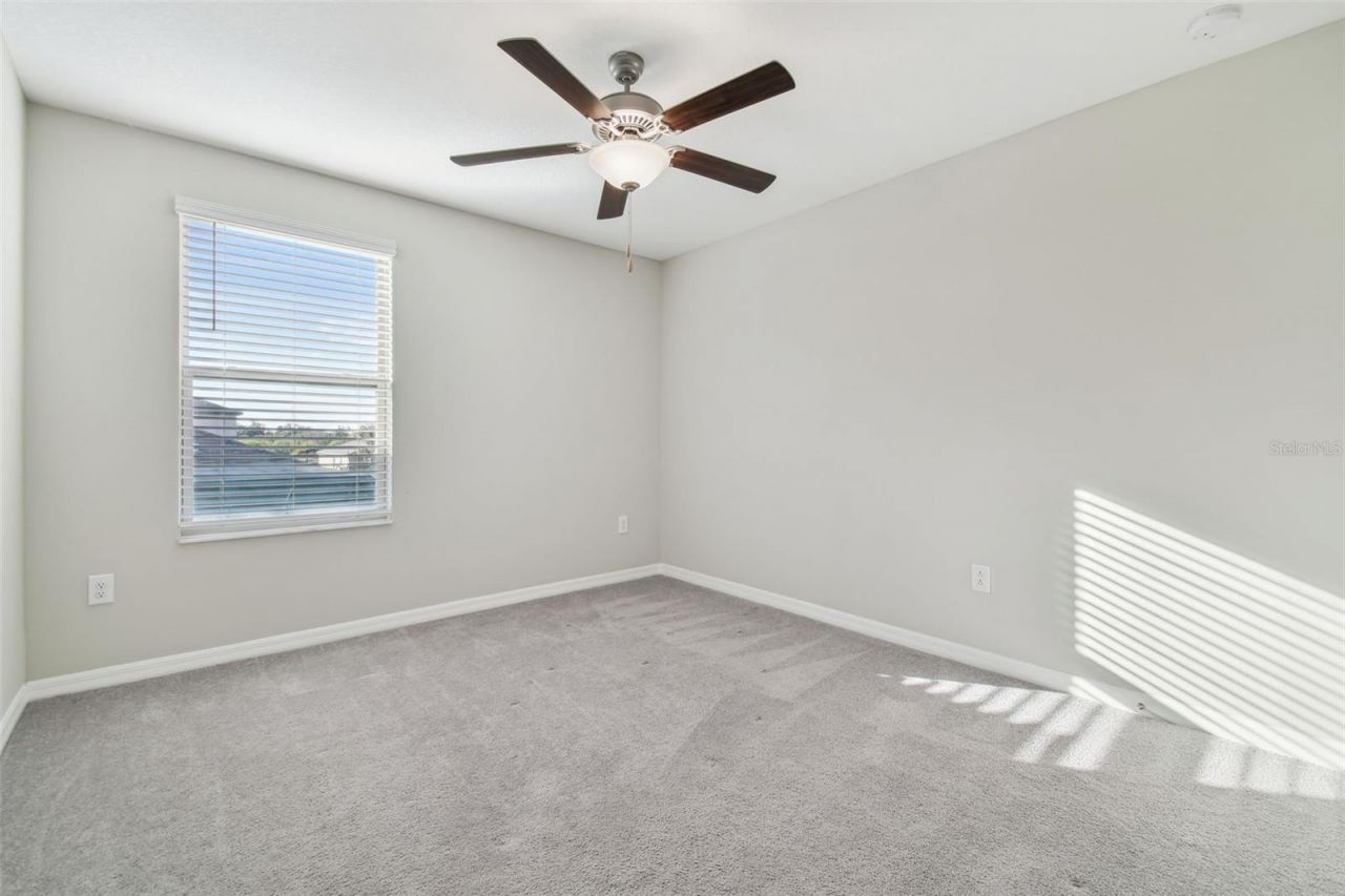 5452 Rainwood Meadows Drive, Apollo Beach, FL 33572 Photo