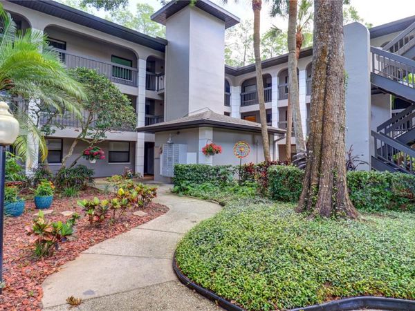 3399 MERMOOR DRIVE, Unit 207, PALM HARBOR, FL 34685