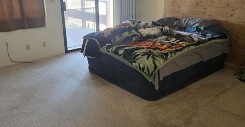 3660 Boulder Road, Wellington, NV 89444 Photo