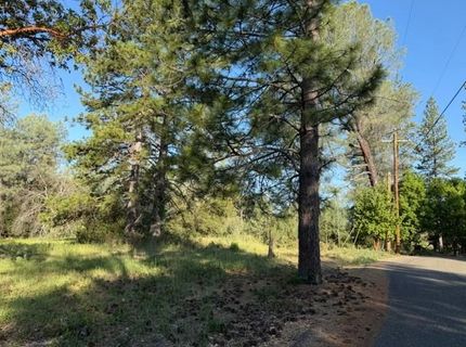 9030 Orval Beckett Ct, Placerville, CA 95667 Photo