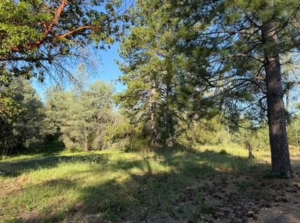 9030 Orval Beckett Ct, Placerville, CA 95667 Photo