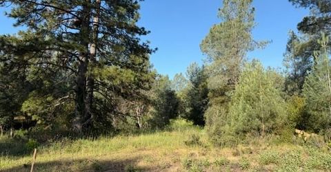 9030 Orval Beckett Ct, Placerville, CA 95667 Photo