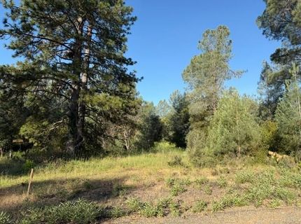 9030 Orval Beckett Ct, Placerville, CA 95667 Photo
