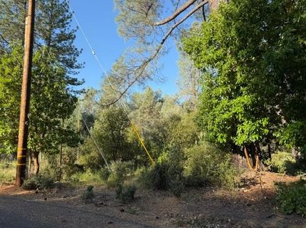 9030 Orval Beckett Ct, Placerville, CA 95667 Photo