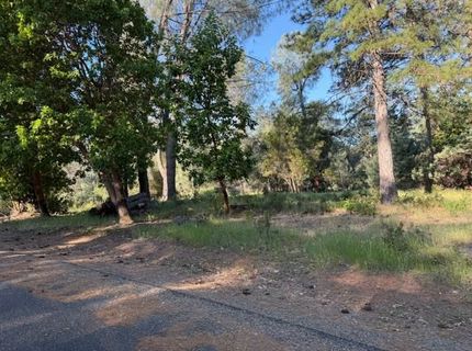 9030 Orval Beckett Ct, Placerville, CA 95667 Photo
