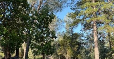 9030 Orval Beckett Ct, Placerville, CA 95667 Photo