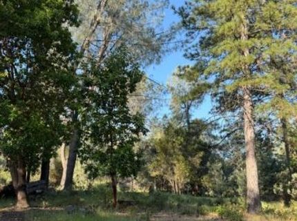9030 Orval Beckett Ct, Placerville, CA 95667 Photo