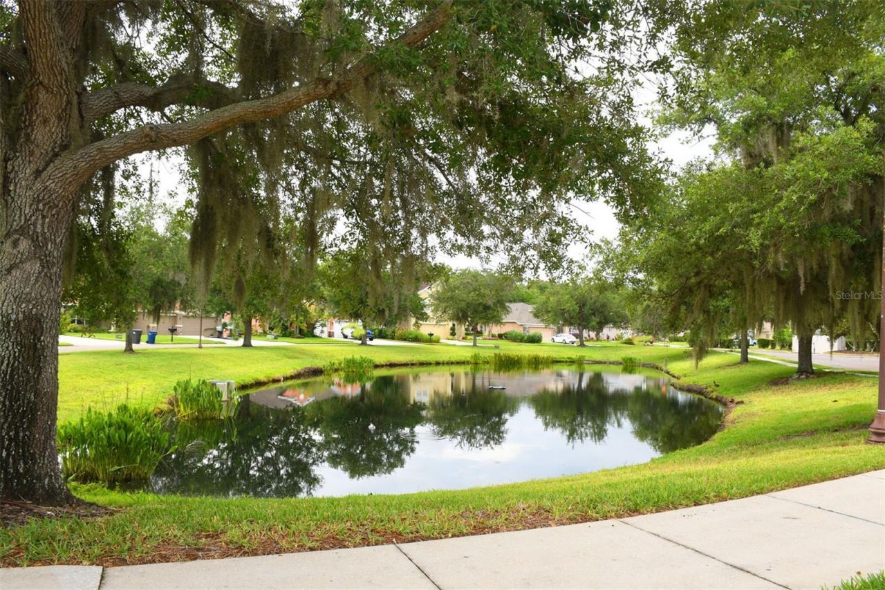 11223 82nd Street E, Parrish, FL 34219 Photo