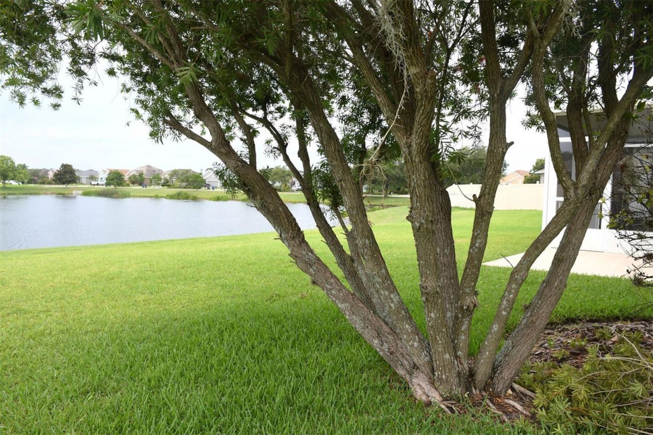 11223 82nd Street E, Parrish, FL 34219 Photo