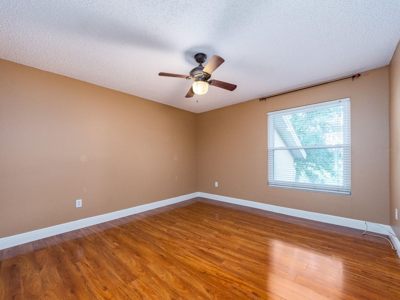3256 Bentley Drive, Palm Harbor, FL 34684 Photo