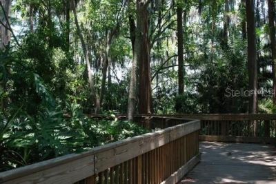 3256 Bentley Drive, Palm Harbor, FL 34684 Photo