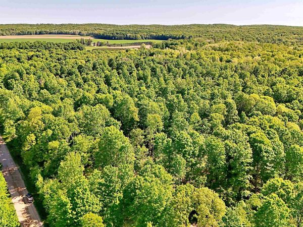 9 Mile Road S, Falmouth, MI 49632