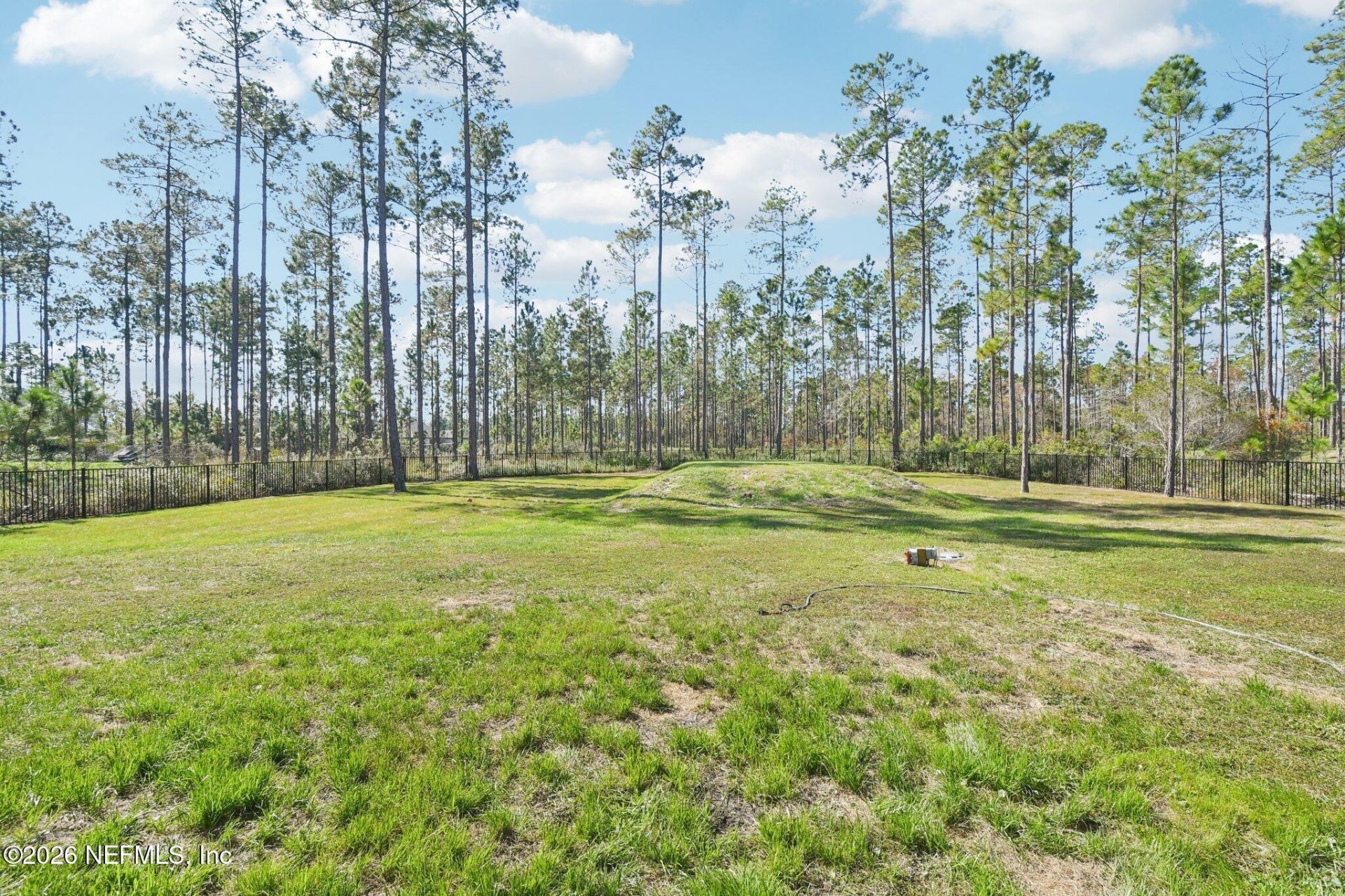 36273 Sugar Court, Hilliard, FL 32046 Photo