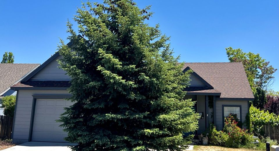 9670 Silver Desert Way, Reno, NV 89506 Photo
