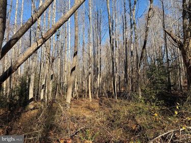 Lot 2 B TURKEY ACRES ROAD , KING GEORGE, VA 22485