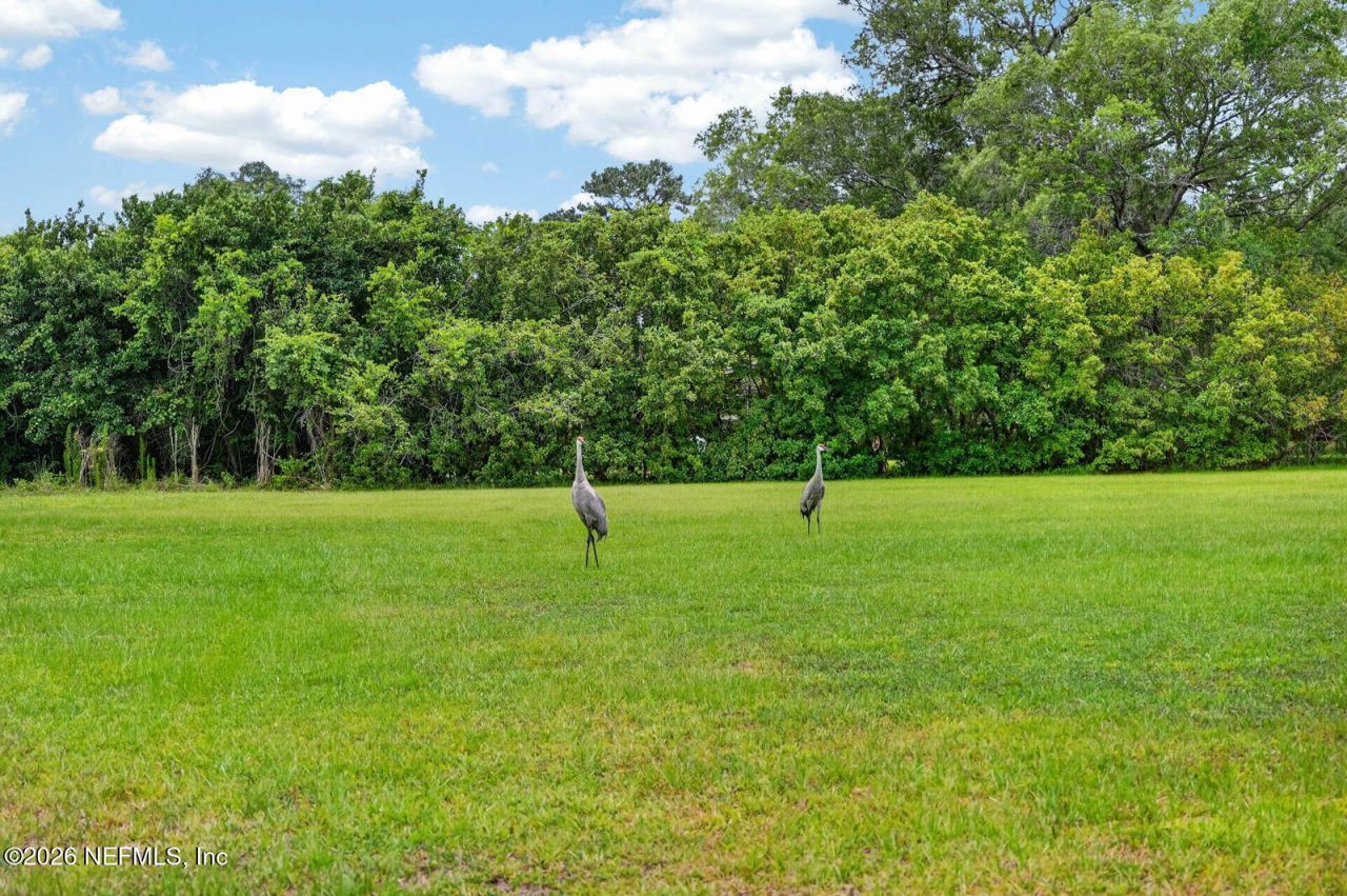 140 Lake Street, Pomona Park, FL 32181 Photo