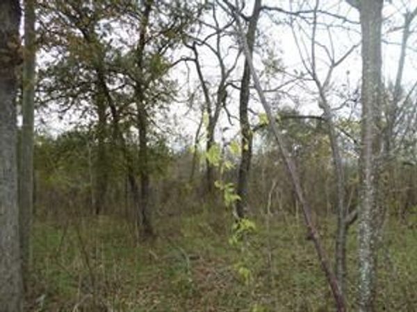 394 FM 112 , Thrall, TX 78947