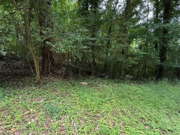 00 Lake Head Road , Norwood, NC 28128