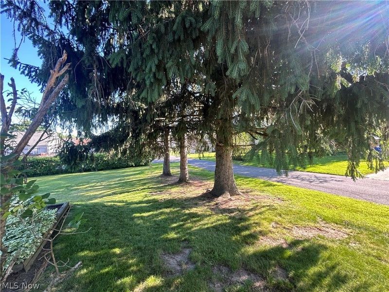 501 Edison Street, Struthers, OH 44471 Photo 4