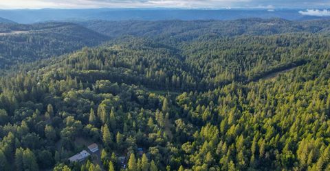2708 Illinois Canyon Rd, Georgetown, CA 95634 Photo