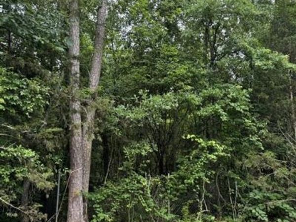 0 Lewis Drive , Lavonia, GA 30553