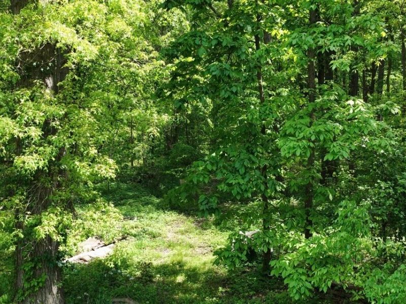 1235 Township Road 353, Ashland, OH 44866 Photo 15