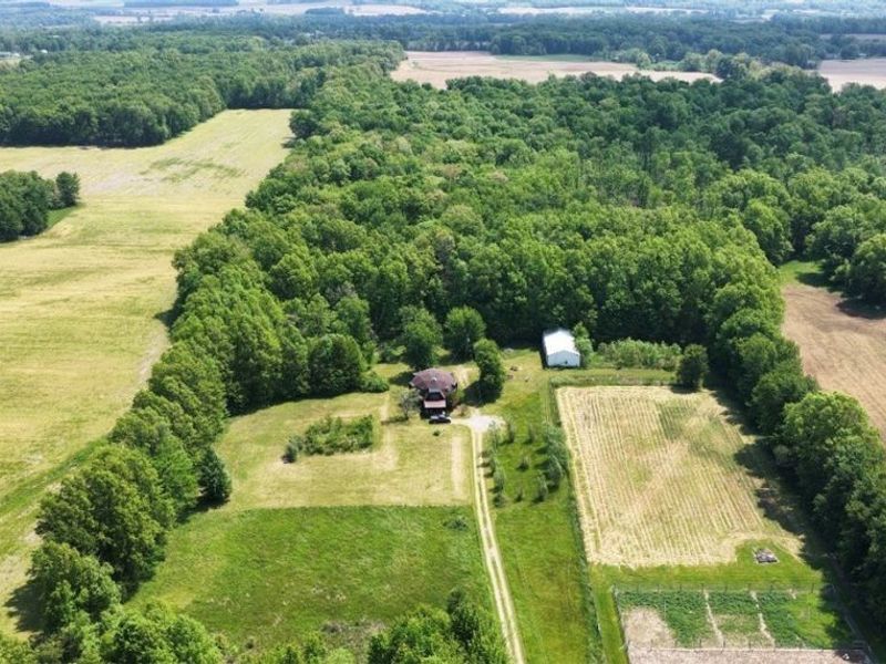 1235 Township Road 353, Ashland, OH 44866 Photo 3