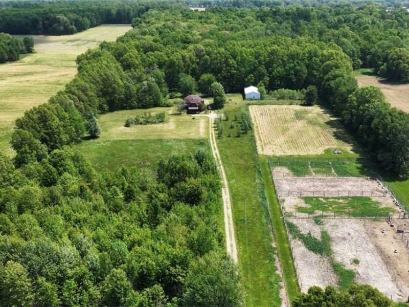 1235 Township Road 353, Ashland, OH 44866 Photo 7