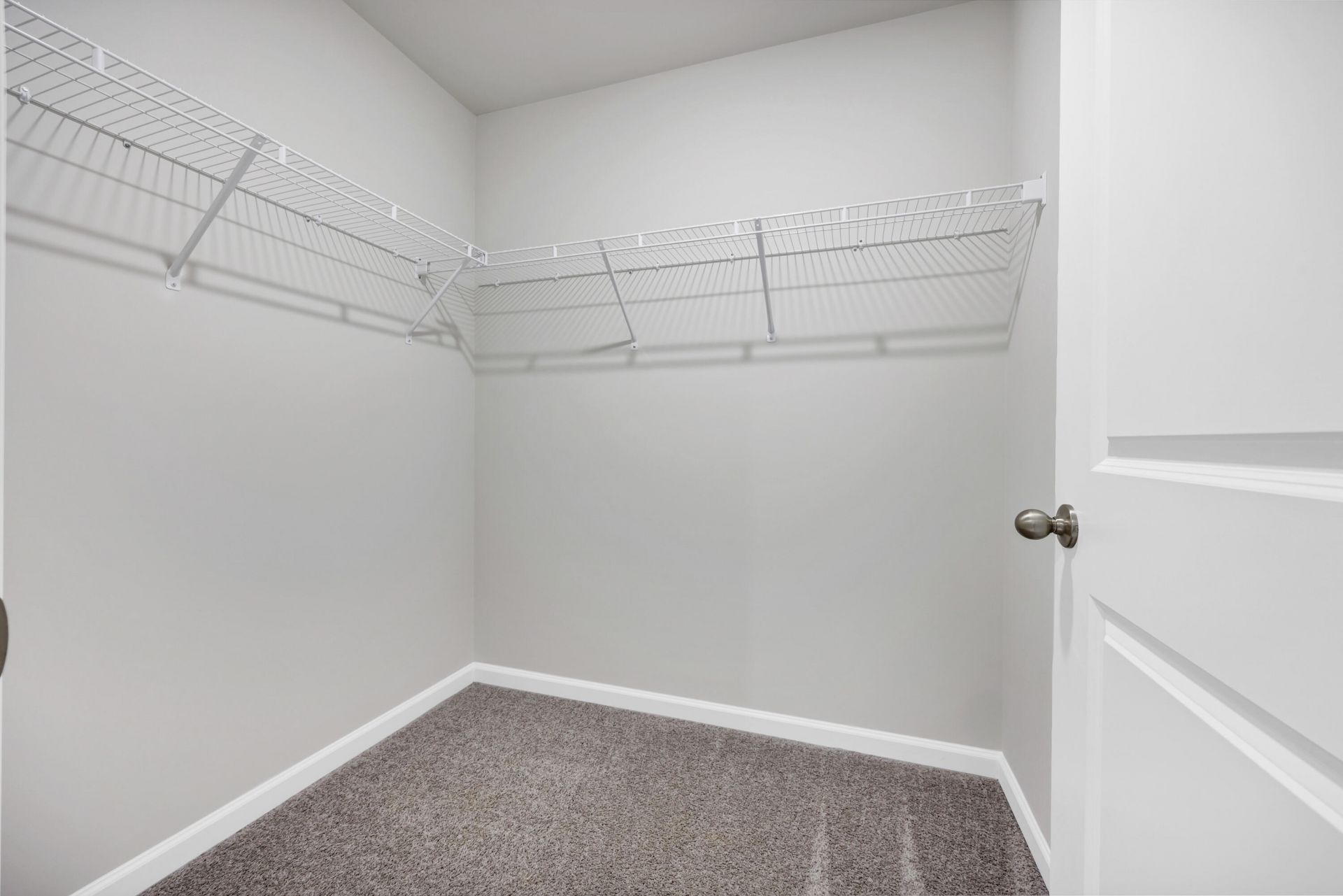 152 Hale Road Photo 19