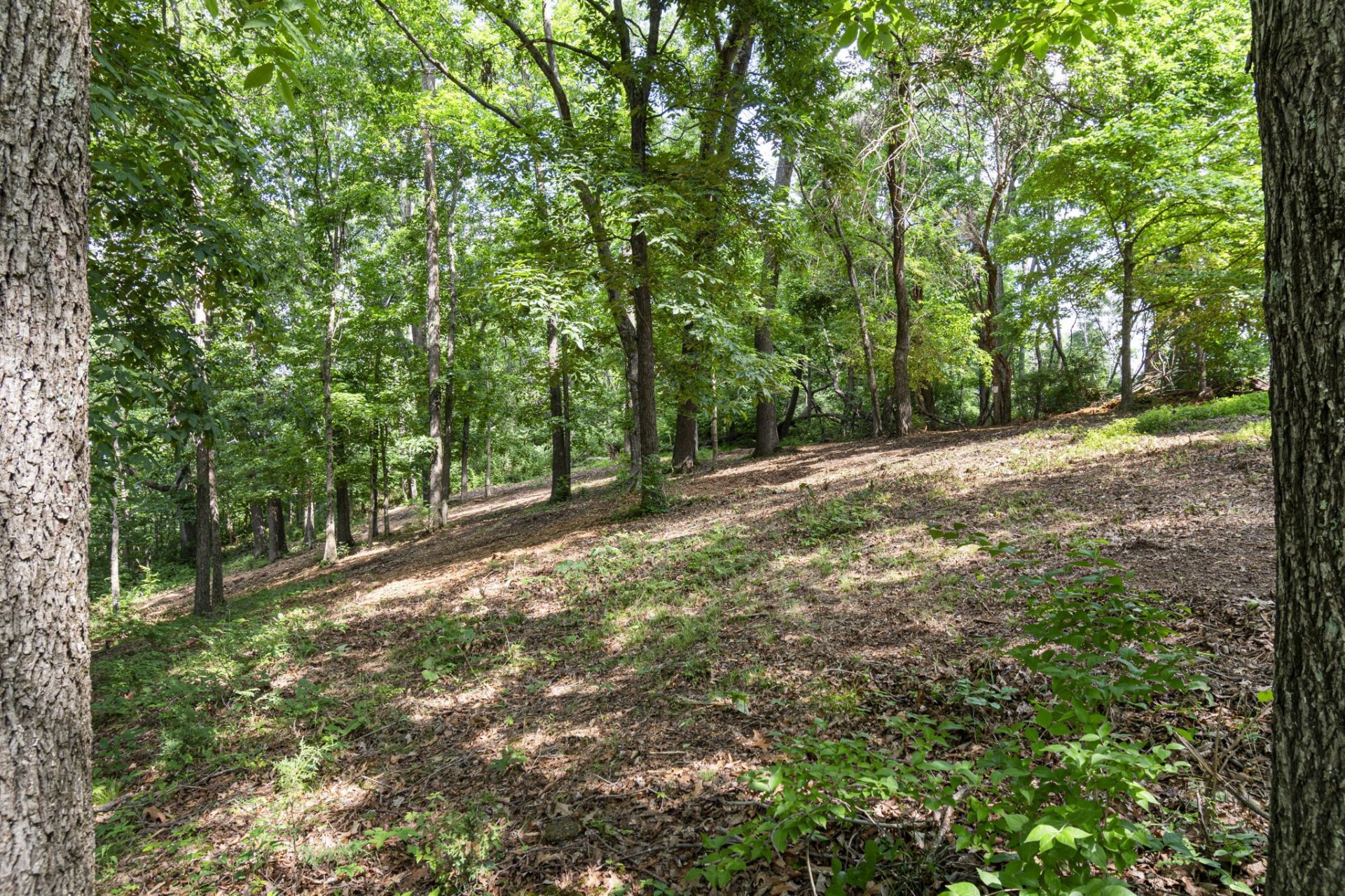 661 Hunters Trl, Nashville, TN 37209 Main Photo