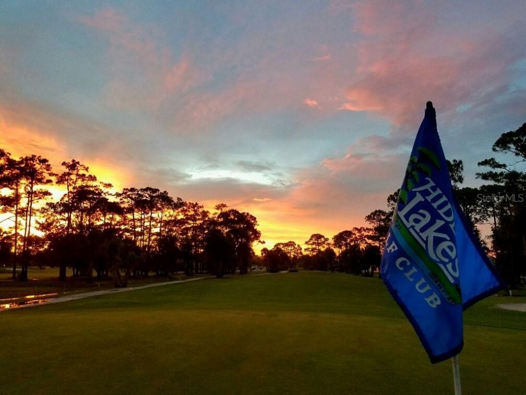 4 Birdie Drive , New Smyrna Beach, FL 32168 Photo