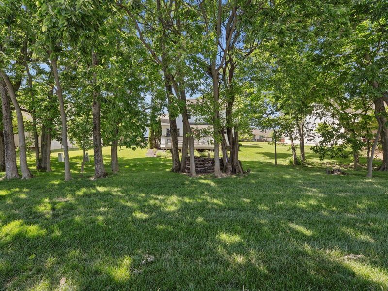 6558 Turning Stone Loop, Canal Winchester, OH 43110 Photo 4