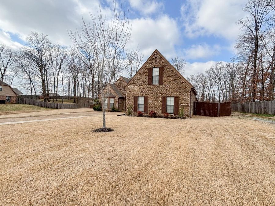 Property Image 4