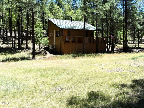 2509 DEER RIDGE Drive, Happy Jack, AZ 86024