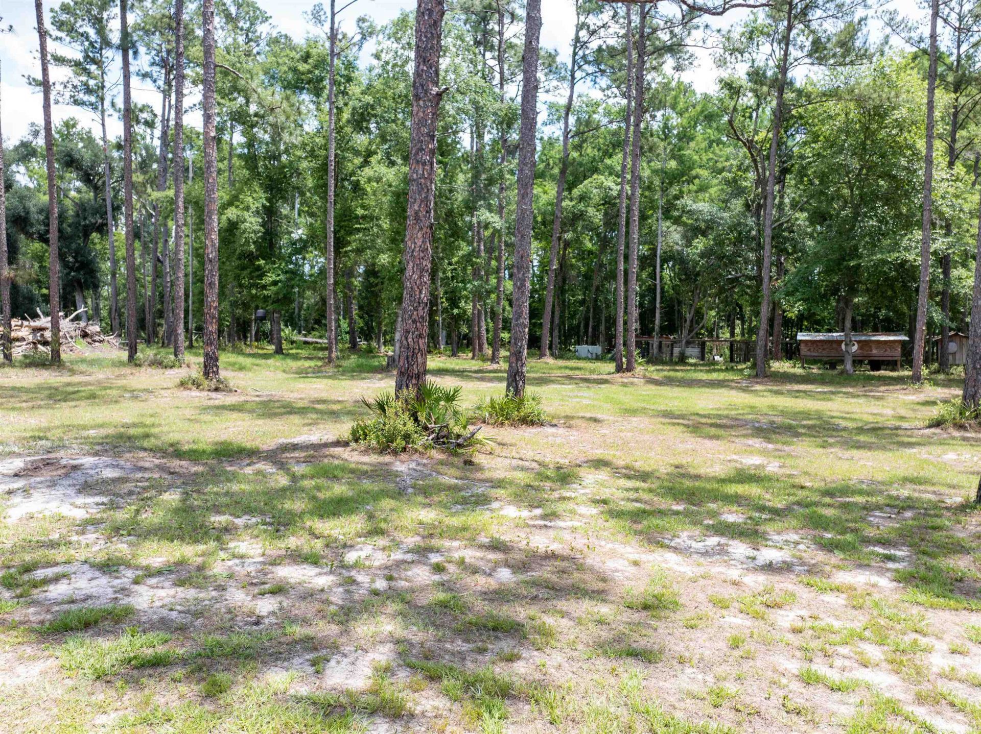 2878 W Us 98, Perry, FL 32347 Photo
