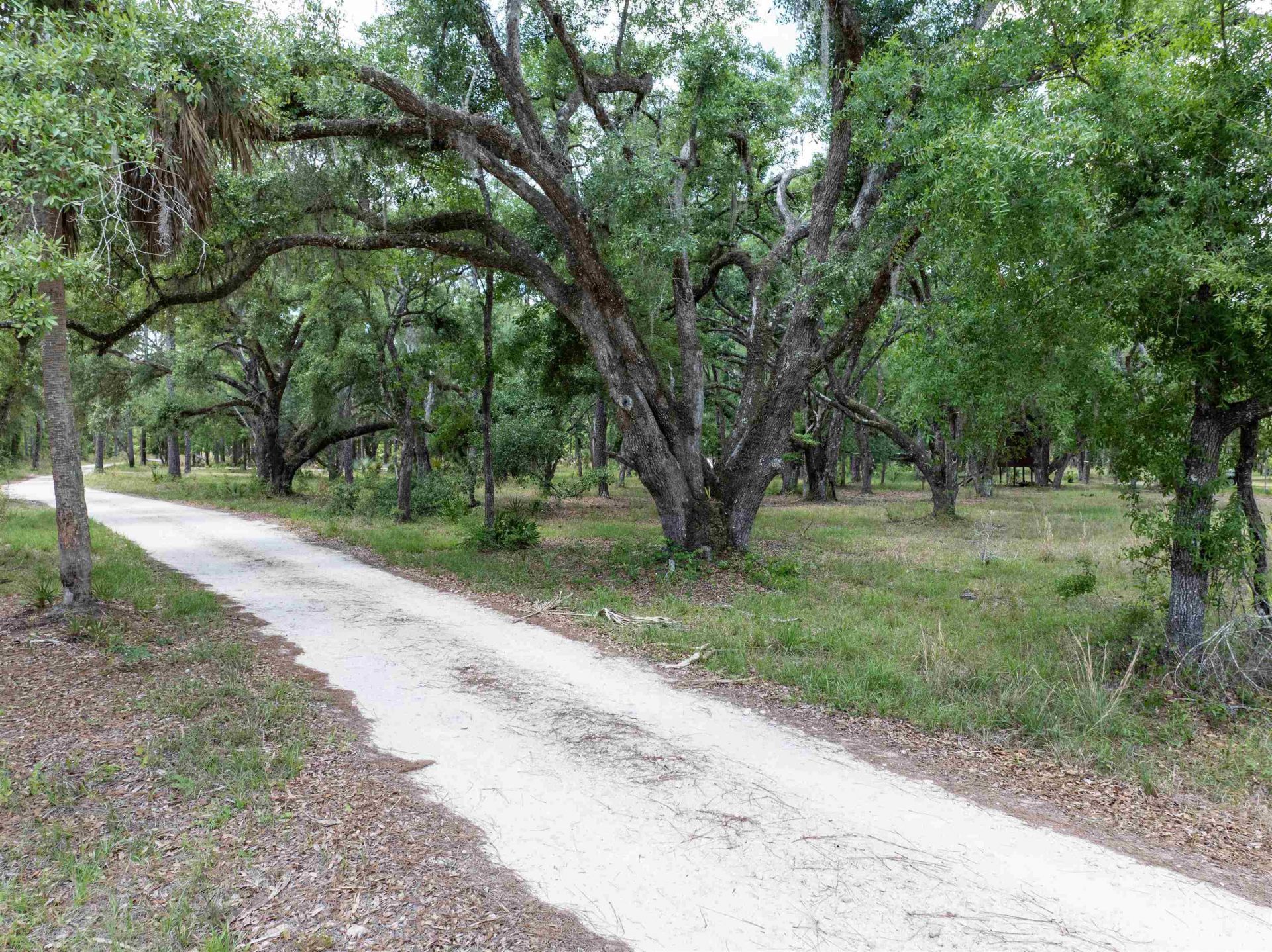 2878 W Us 98, Perry, FL 32347 Photo