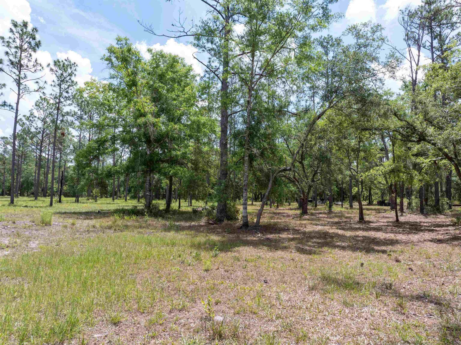 2878 W Us 98, Perry, FL 32347 Photo